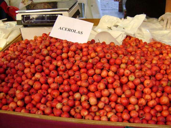 8. ábra Azarolo
