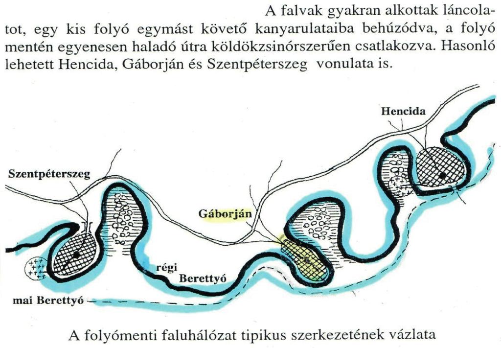 Ligeti zsálya (Salvia Nemorosa L.) változatok kertészeti célú felhasználása 117 Bevezetés A hazai flóra sokszínűsége dísznövénykertészeti szempontból is számtalan értékes taxont rejt.
