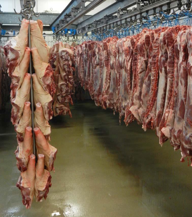 felügyelete alatt történik a gyártás. Az állatok vágása ezt követően saját vágóüzemekben történik.