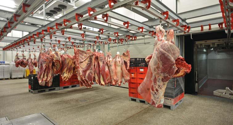 A folyamatos növekedés következtében az üzem tovább költözött egy modernebb és egy nagyobb épületbe Zele településre, ahol tökéletesen integrálódik