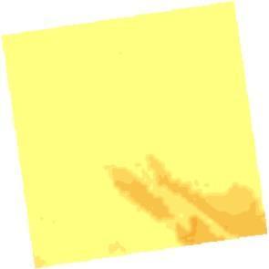 Interpolated
