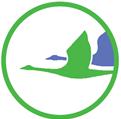 WORKING GROUPS OF