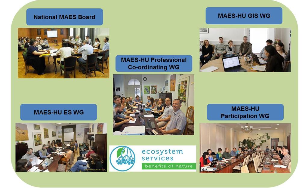 WORKING GROUPS OF THE