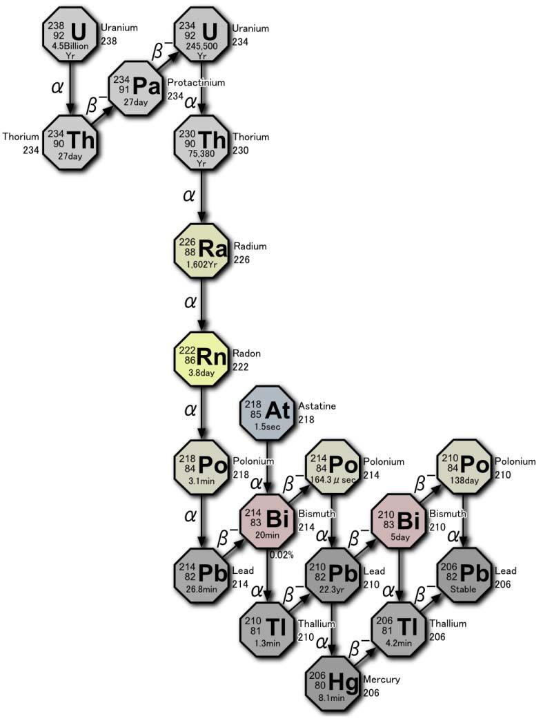 Decay chain of Uranium-238 from 238 U (uranium) to 206 Pb (lead) http://en.wikipedia.