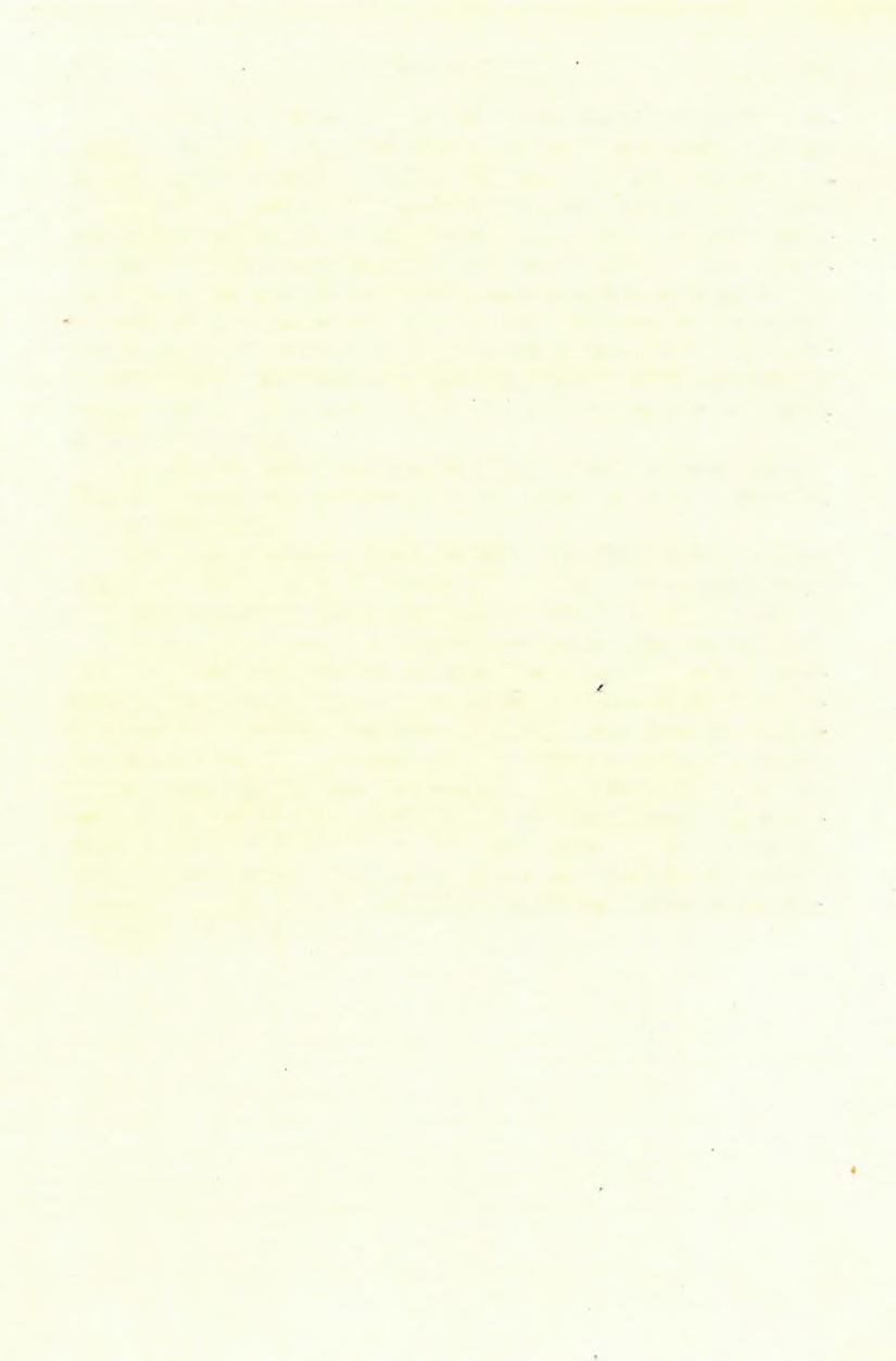 1 4 8 Dl SCHAFARZIK FERENCZ.
