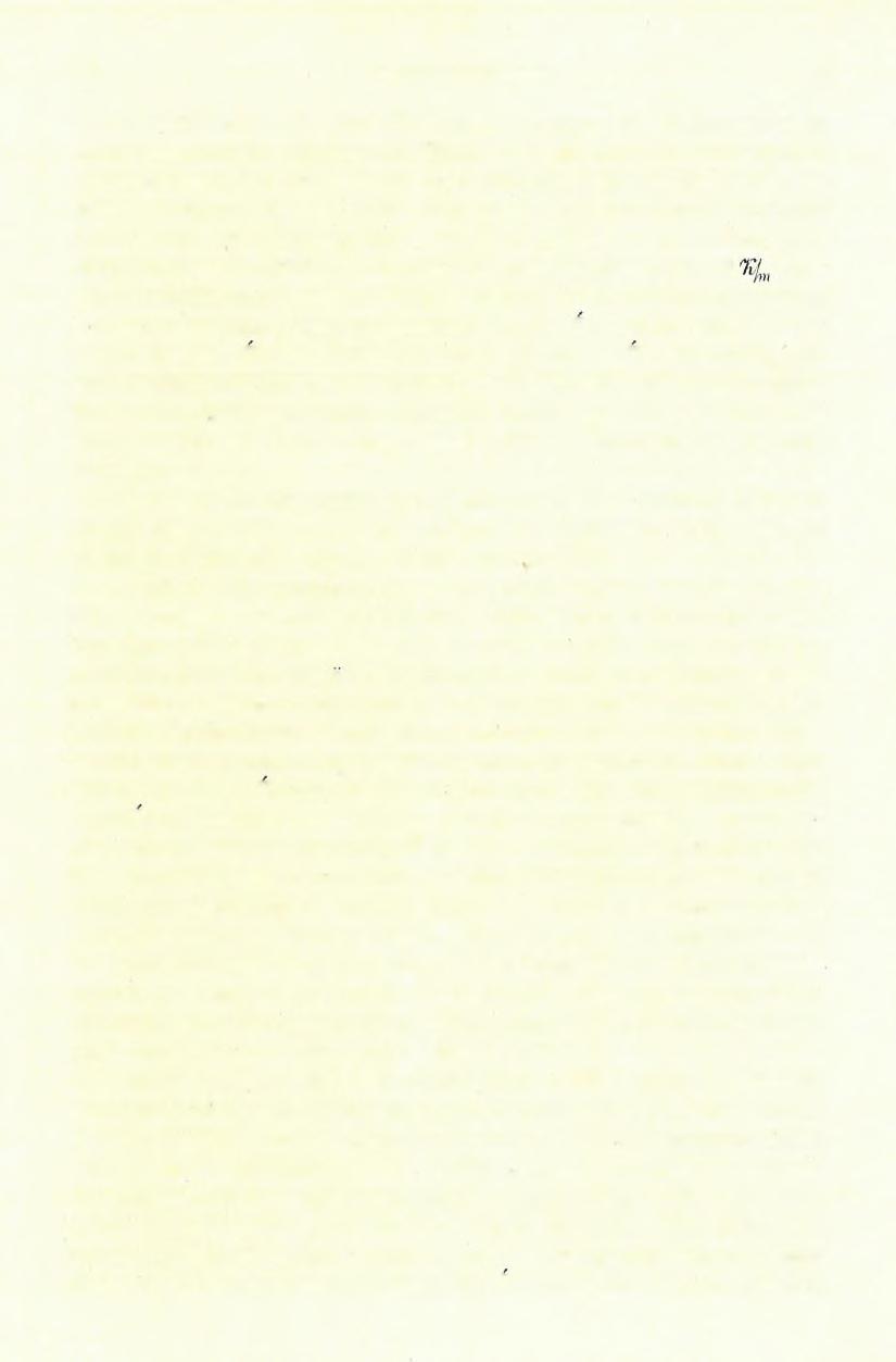 140 D l SCHAFARZIK FERENCZ.