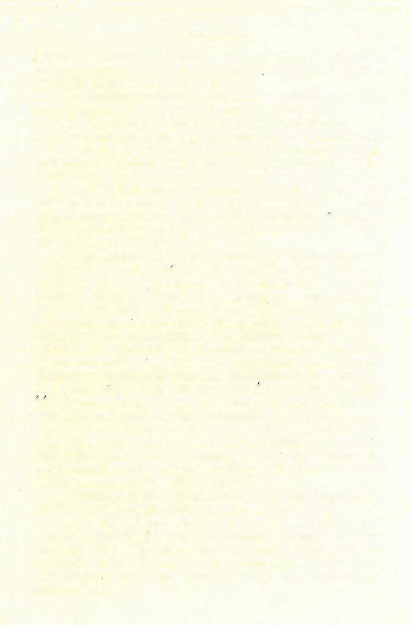 1 4 4 DE SCHAFARZIK FERENCZ. (8) a második a Jardastitza, a harmadik pedig a Sekasticza patakok mentén vannak a hegységen keresztül fektetve.