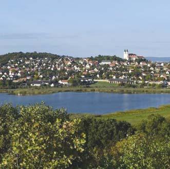 Fonyód A Fonyódi Kutyás strandon kedvenceink vízbe jutását többlépcsős lejáró és rámpa is segíti, amelyek igénybevételével könnyen elérhetik a part menti 60 80 cm-es mélységű vizet.