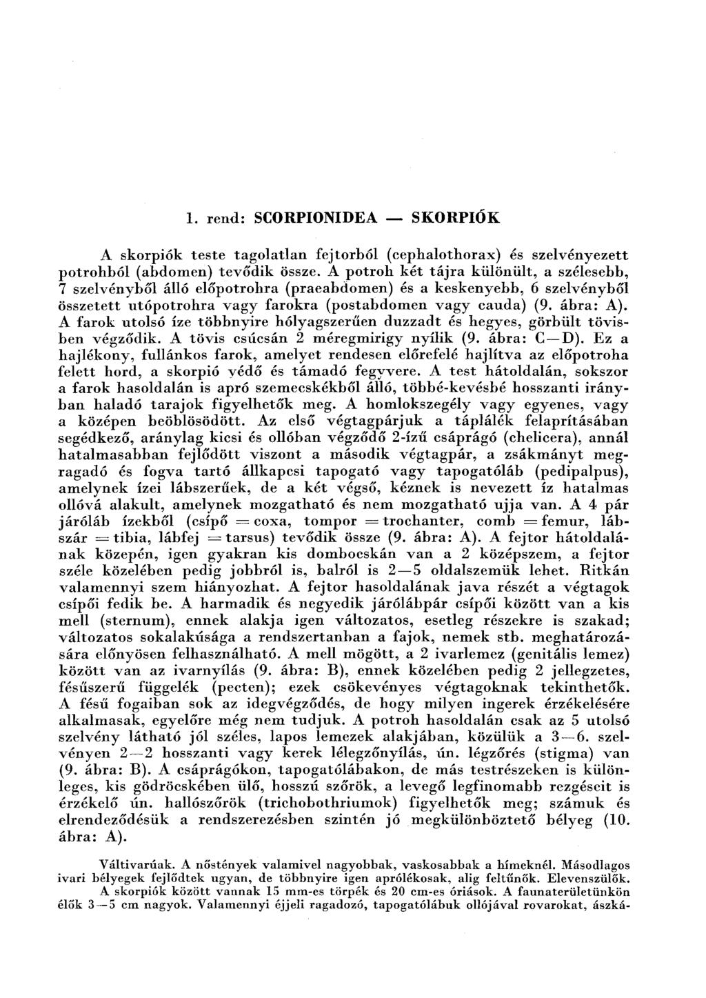 1. maz SCORPIONIDEA - SKORPIŐK A skorpiók teste tagolatlan fejtorból (cephalothorax) és szelvényezett potrohból (abdomen) tevődik össze.