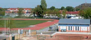 8 MOZAIK HÉT KILOMÉTER KERÉKPÁRÚT épül a négysávúsított 54-es mellett Fotó: Banczik Róbert Befejeződik a stadion pályájának felújítása Több mint 300 millió forintos beruházásnak köszönhetően bővül a