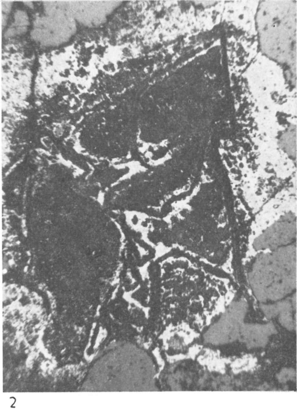 kötet, 2.