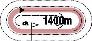 2019.08.25 I FUTAM 15:00 (163) Pálya: 11 - Kincsem Park A futam neve: SOPRONI HENDIKEP (o.) (szintetikus pálya) Összdíjazás: 540000 Ft (270000, 108000, 81000, 54000, 27000) 1 Silver Chimes (GB) 67.