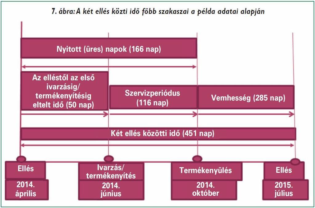 A megfelelő időben A hőségnapok az állatok jóllétére, a szaporodásbiológiai mutatókra és a termelési eredményekre gyakorolt káros hatásai különböző tartástechnológiai módszerekkel mérsékelhetők.