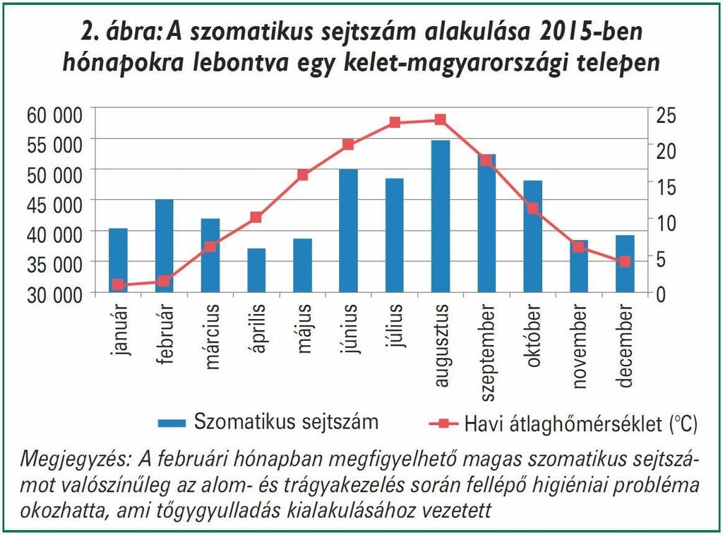 Vizsgálatainkban a szomatikus sejtszám is jelentősen emelkedni kezdett a nyári meleg beálltával (2. ábra), aminek kiváltója a tőgygyulladás.