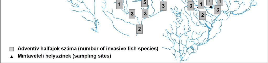 Hasonló a helyzet a fenékjáró küllő (Gobio gobio) esetében is, hiszen annak ellenére, hogy a mintavételi helyek mintegy felében megtalálható volt, a faj az észlelt egyedeknek csupán a 6,35% át