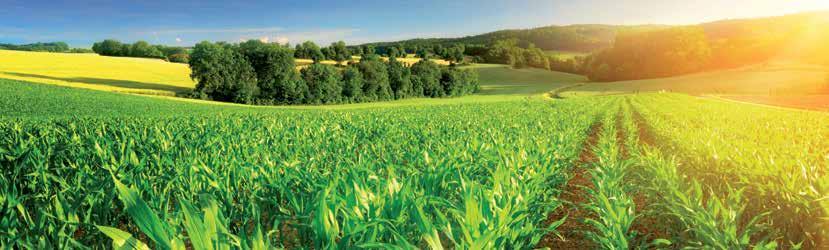 KIZÁRÓLAG AZ AXIÁL KFT-NÉL! TOTAL AGRI KENŐANYAGOK A MAGYAR MEZŐGAZDASÁG SZÁMÁRA!