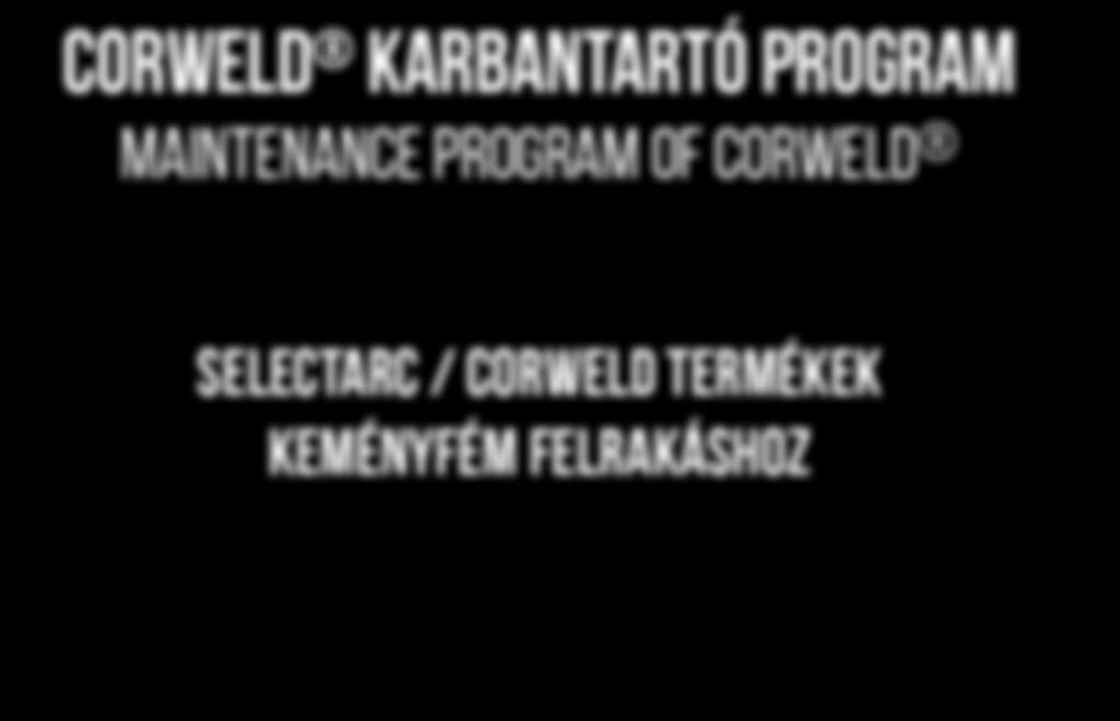 karbantartó program maintenance