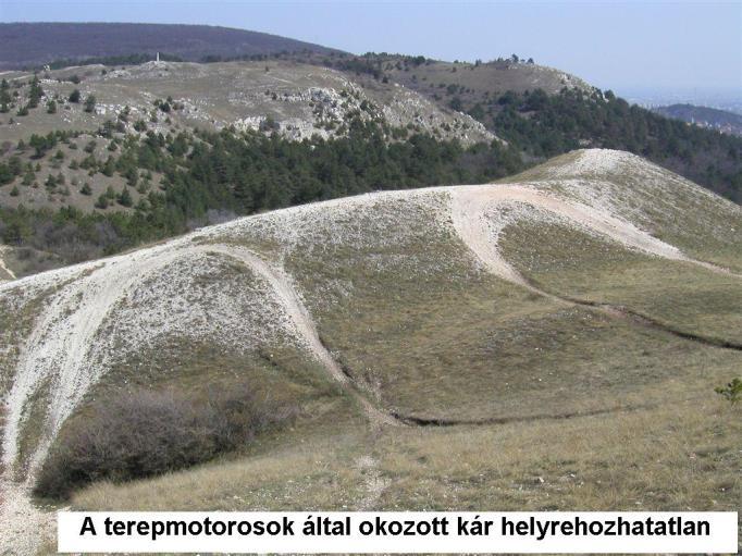melyekhez tapadva élőlények ezrei élnek, az iszapot felkavarva megváltoztatják a víz minőségét, amelyet sokszor még olajos szennyeződéssel is terhelnek. (...) További kár a motoros járművek zajhatása.