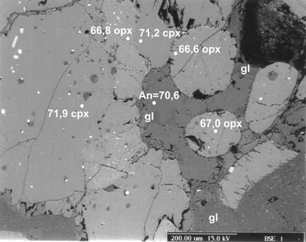 5.19. ábra Ortopiroxén (opx)-klinopiroxén (cpx)-plagioklász kumulátumok és összetételbeli jellemzőjük az N38C litoklasztban (visszaszórt elektronképek).