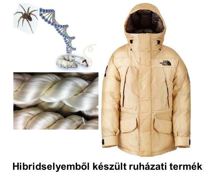 Másik, többéves kutatás eredményeként baktériumok közreműködésével állították elő a pókselyemre jellemző spidroin fehérjét.