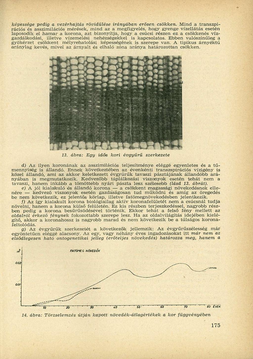 képessége pedig a vezérhajtás rövidülése irányában erősen csökken.
