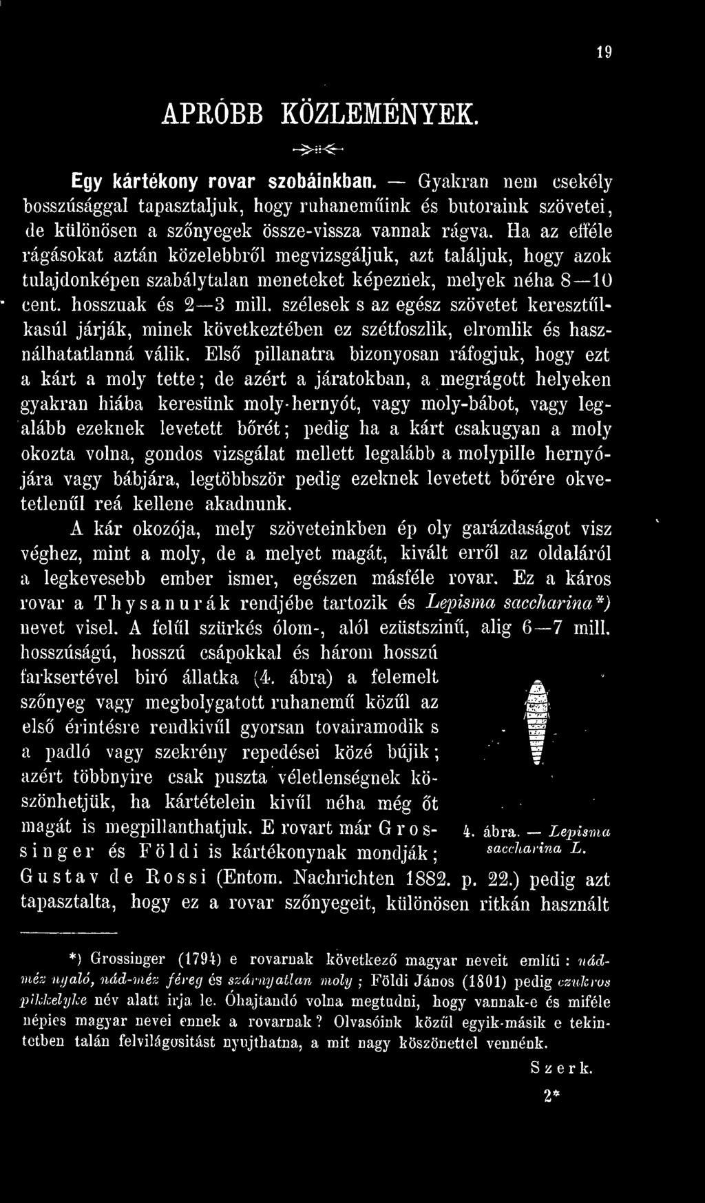 brét; pedig ha a kárt csakugyan a moly okozta volna, gondos vizsgálat mellett legalább a molypille hernyójára vagy bábjára, legtöbbször pedig ezeknek levetett brére okvetetlenül reá kellene akadnunk.