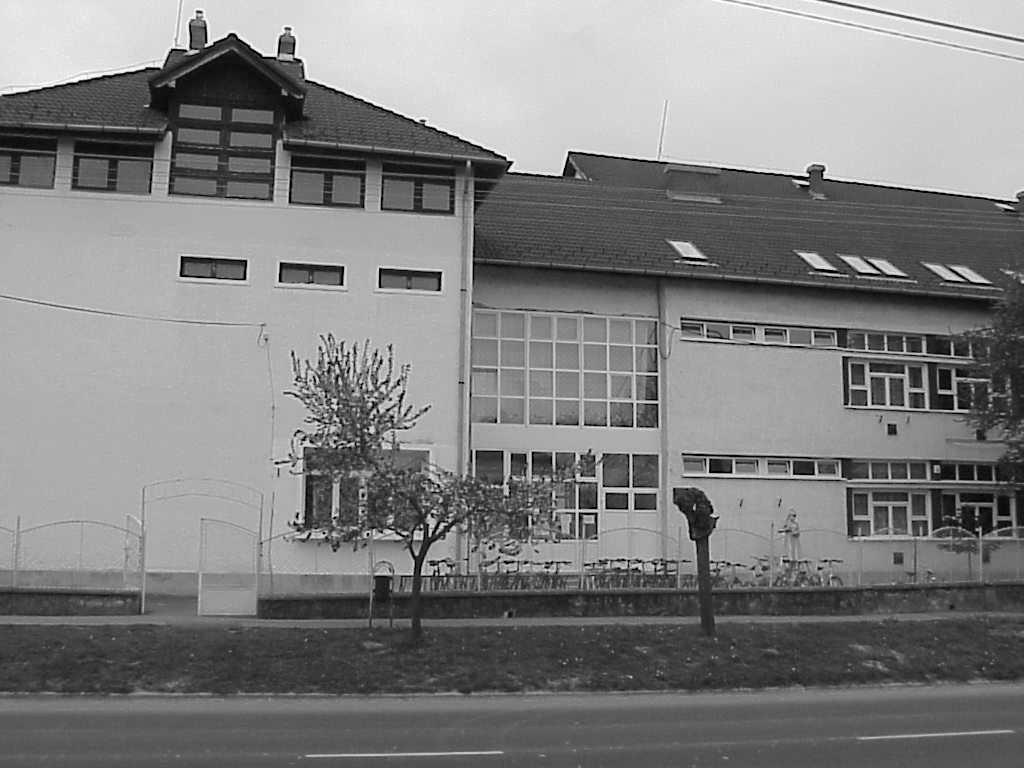 539-034 Fax: 85/539-033 E-mail: szechisk@t-online.