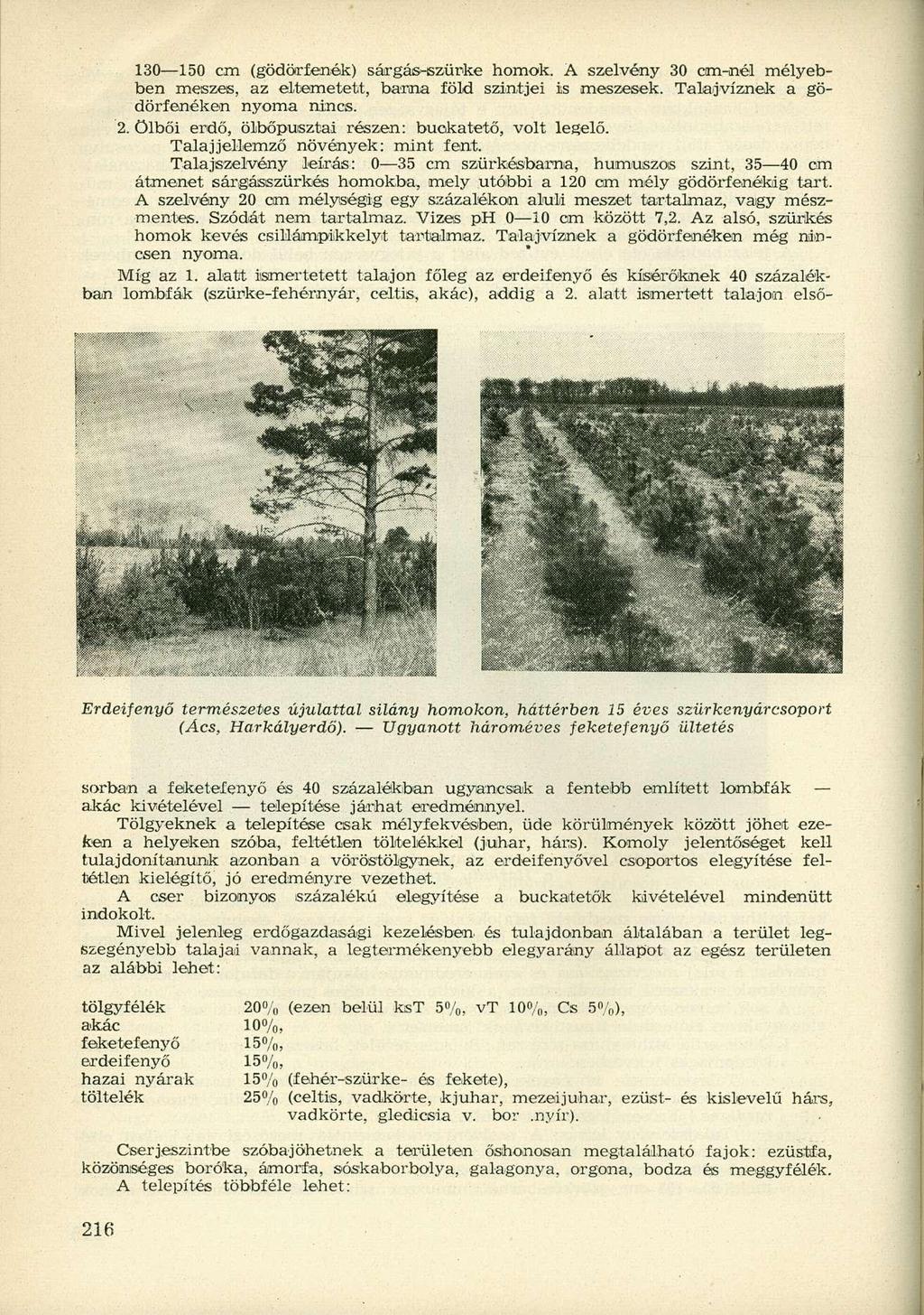 130 150 cm (gödörfenók) sárgás-szürke homok. A szelvény 30 cm-nél mélyebben meszes, az eltemetett, barna föld szintjei is meszesek. Talajvíznek a gödörfenéken nyoma nincs. 2.