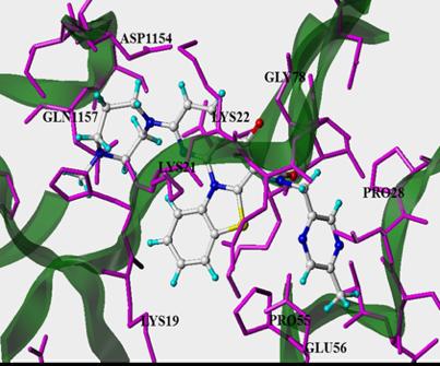 RNA Pol I with RRN3. b.