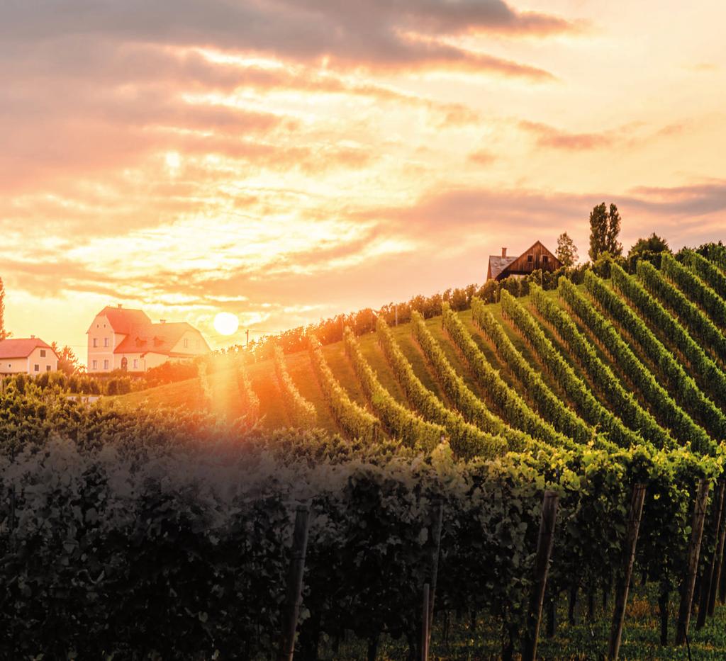 Tokaj 0,75 1 Az akció részletei: Az akció 2019.09.02-2019.09.29 között, illetve az akciós ajándékkészlet erejéig érvényes!