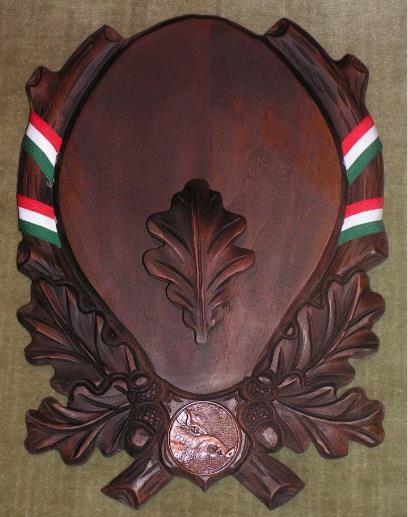 agyarakat gyakran