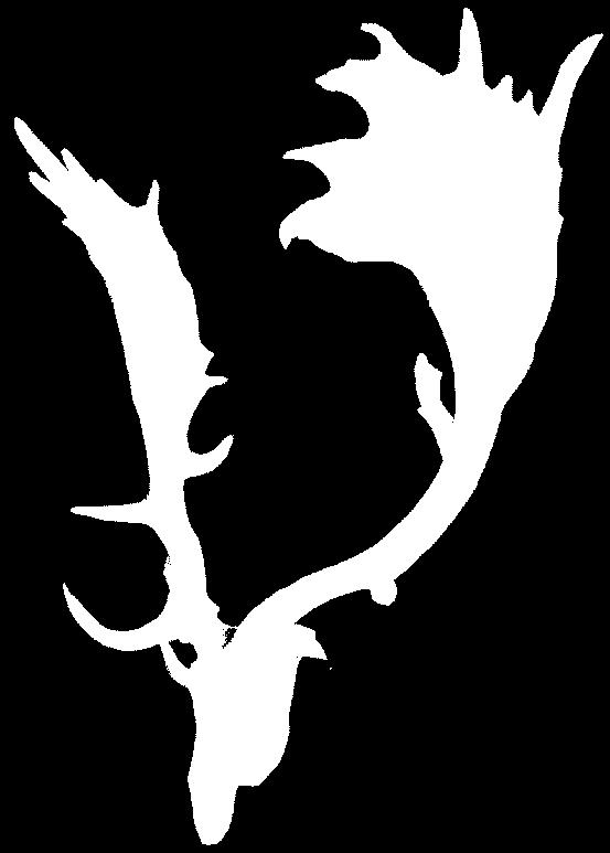 IV.