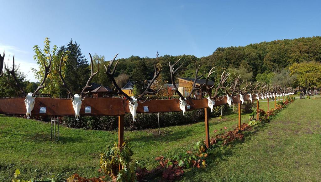Trófeakiállítások