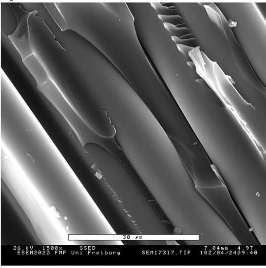: Epoxy - layered silicate nanocomposites as matrix in glass