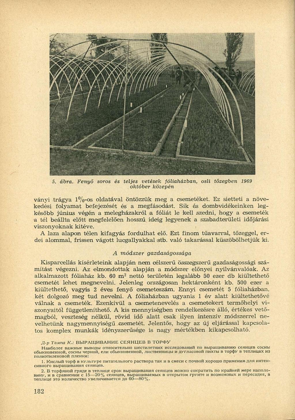 5. ábra. Fenyő soros és teljes vetések fóliaházban, osli tőzegben 1969 október közepén ványi trágya 1%-os oldatával öntözzük meg a csemetéket.