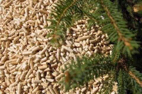 Pellet 8-25 mm átmérőjű tömörítvény (www.bestmachinery.hu) biomasszaként a létfenntartásunkhoz.