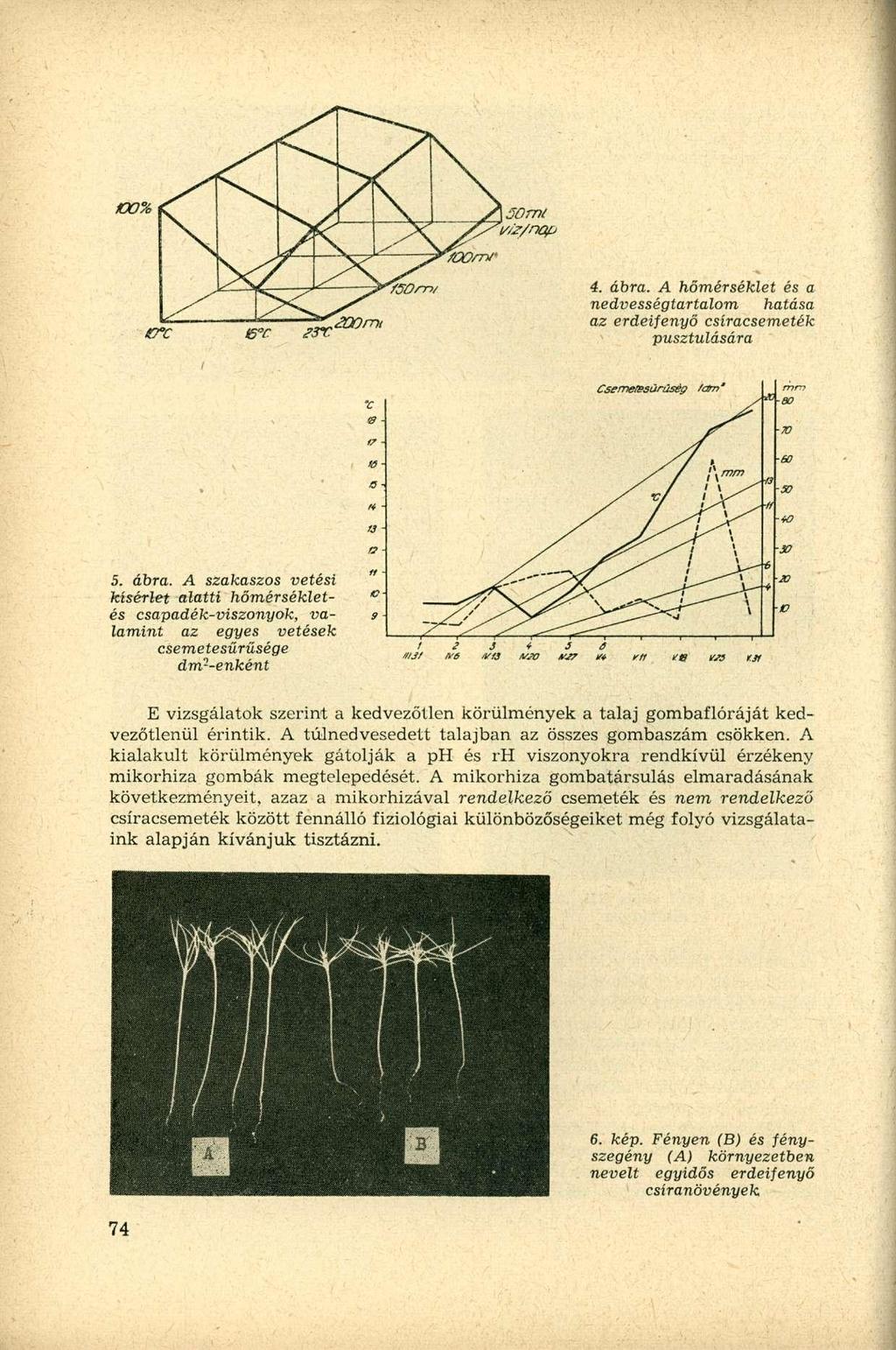 4. ábra.