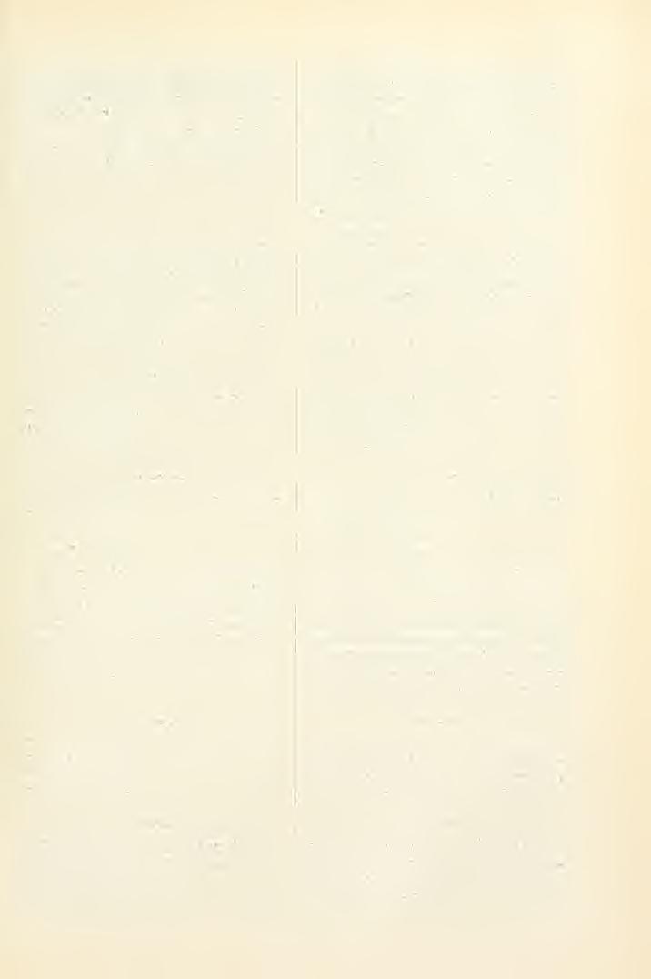1 2 71 Érdekes volna kutatni, lia vájjon vidékl-iikiiit is ráakadunk-e azon vonásokra, melyeket eddigelé az egész országra vonatkozólag bemutattunk.