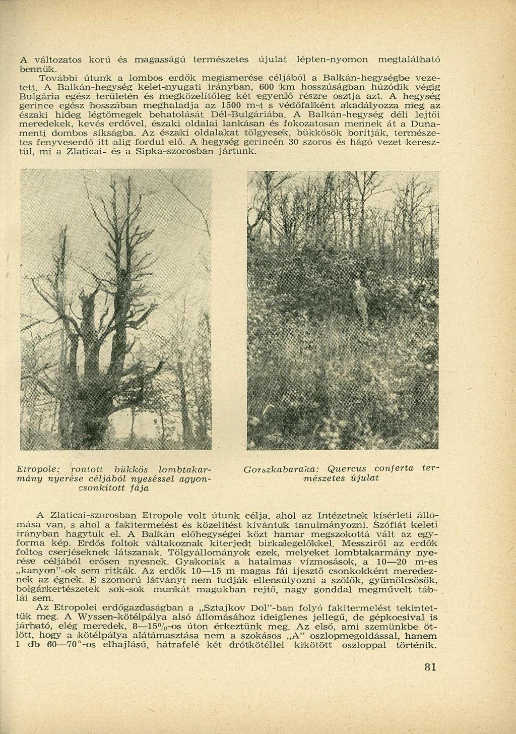 A változatos korú és magasságú természetes újulat lépten-nyomon megtalálható bennük. További utunk a lombos erdők megismerése céljából a Balkán-hegységbe vezetett.