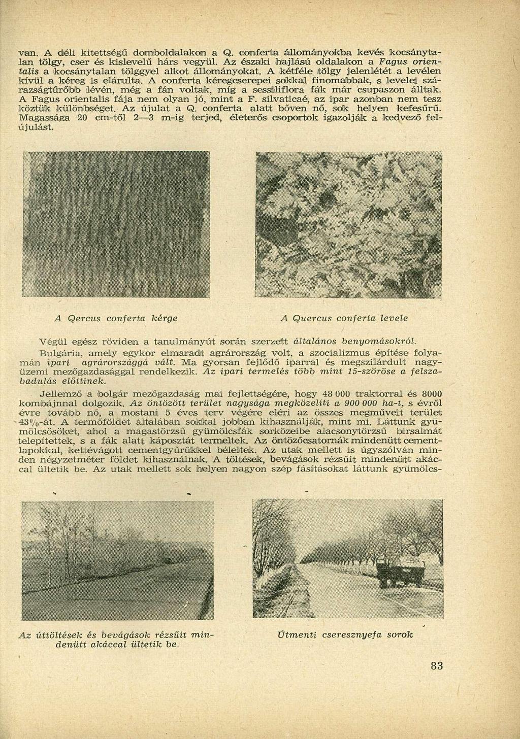 van. A déli kitettségű domboldalakon a Q. cx>nferta á/üományokba kevés kocsánytalan tölgy, cser és kislevelű hárs vegyül.