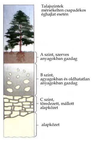 Talajvizsgálatok Talajvizsgálatok fúrás