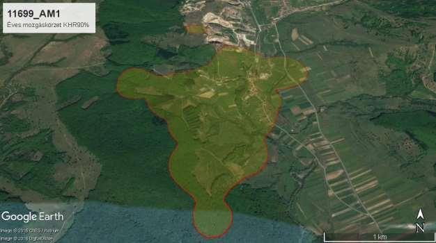 59 kñborlások után az otthonterülete többnyire a lakott területek közelében volt.