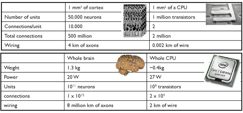 Összefoglalás irregular firing szinaptikus input speed computation spontaneous activity neuron slow ( < 1 khz) complex stochastic, unreliable typical