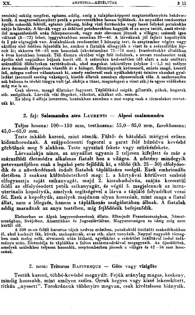 XX. AM P H IB IA K É TÉ LTŰ S K 3 15 semmis) dókáig megőrzi, egészen addig, amíg a tulajdonképpeni megtermékenyítés bekövetkezik. A megtermékenyített peték a petevezetékben lassan fejlődnek.