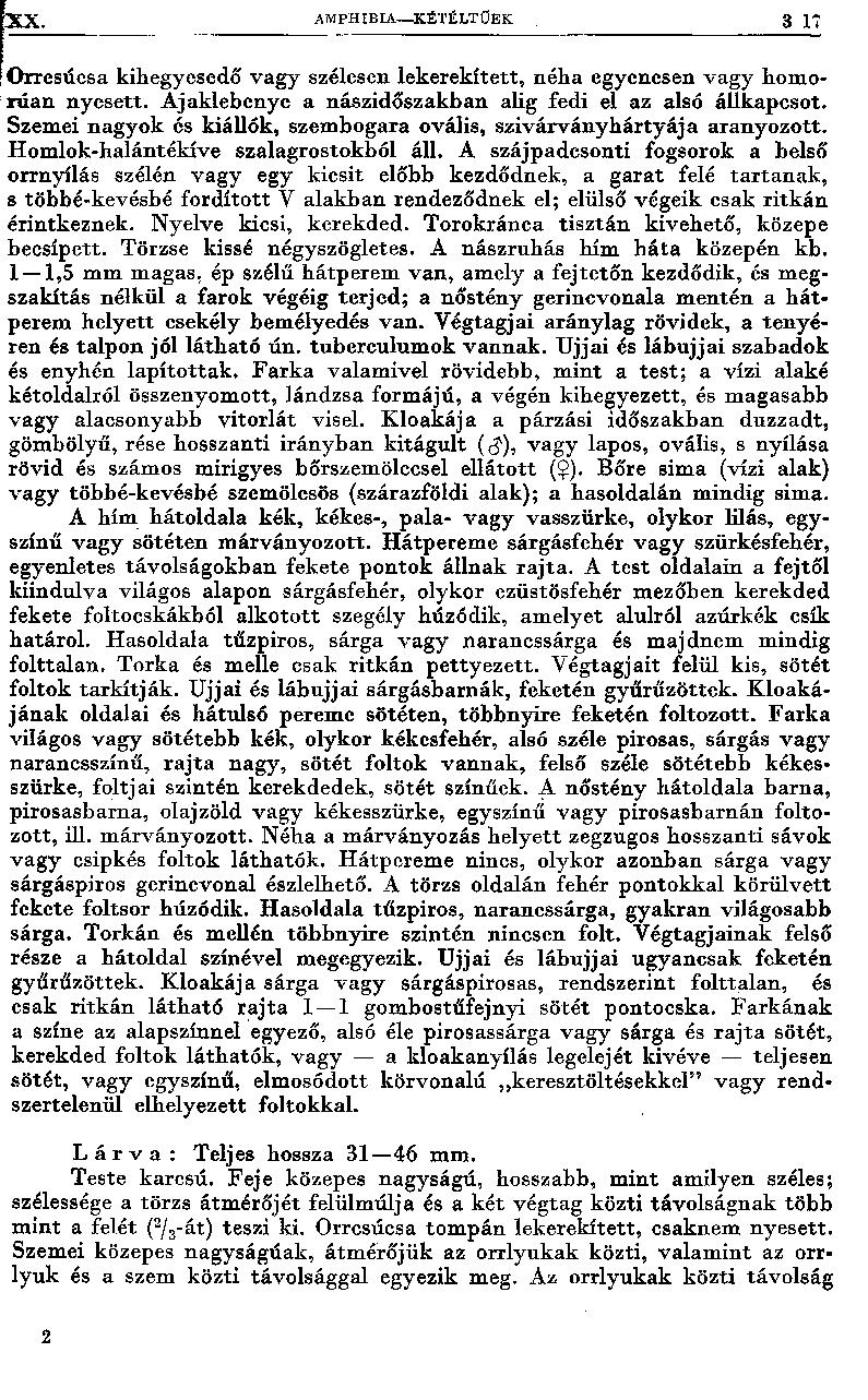 X X. AMPHIBLA KÉTÉLTŰEK 3 V O rrcsúcsa kihegycsedő vagy szélesen lekerekített, néha egyenesen vagy homon ia n nyesett. A jakiebenyc a nászidőszakban alig fedi el az alsó állkapcsot.