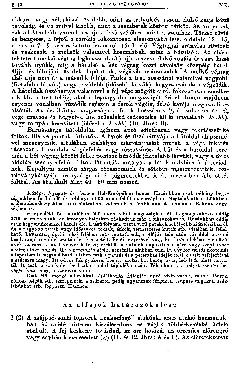 3 18 DK. DE1Y OLIVÉR GYÖRGY XX. akkora, vagy néha kissé rövidebb, m int az orrlyuk és a szem elülső zuga közti távolság, és valam ivel kisebb, m int a szem héjak közötti térköz.