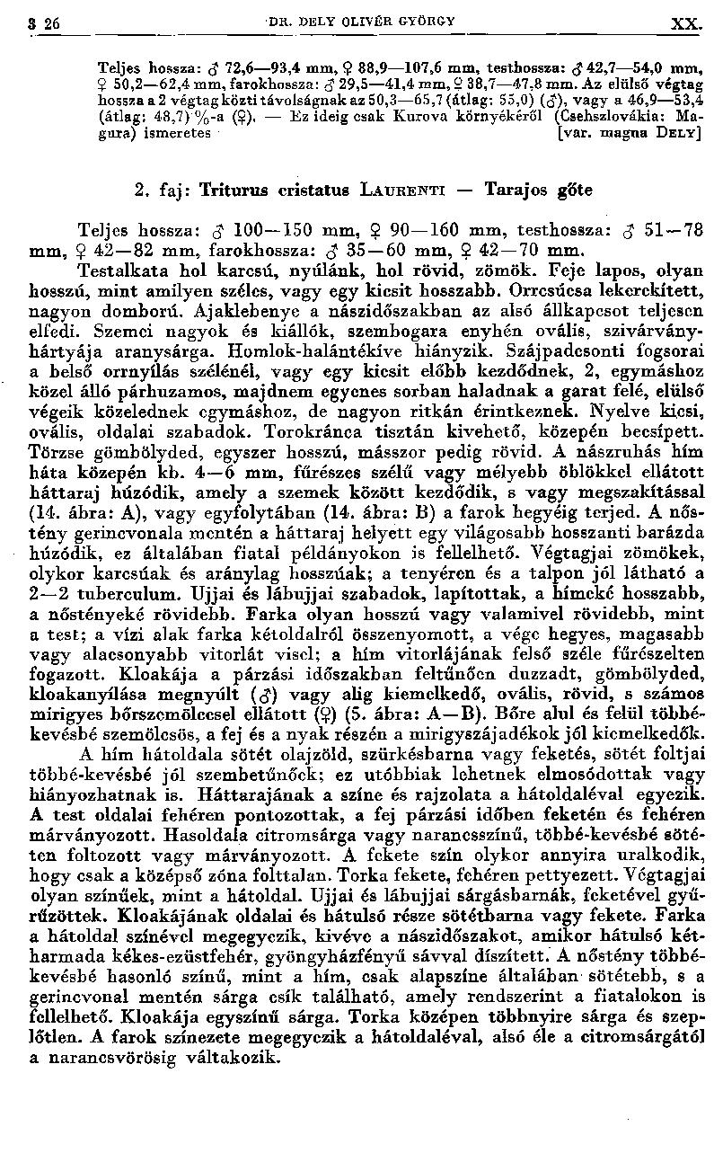 8 26 DR. DELY OLIVÉR GYÖRGY XX. Teljes hossza: <J 72,6 93,4 mm, $ 88,9 107,6 mm, testbossza: <J42>7 54,0 mm, 2 50,2 62,4 mm, farokhossza: <J 29,5 41,4 mm, 2 38,7 47,8 mm.