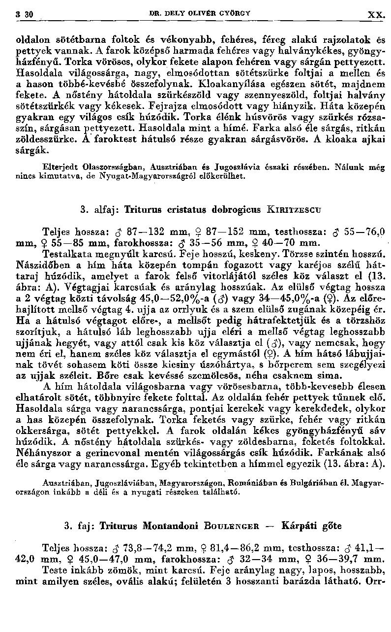 3 30 J>R. DELY OLIVÉR GYÖRGY XX. oldalon sötétbarna foltok és vékonyabb, fehéres, féreg alakú rajzolatok és p etty ek vannak. A farok középső harm ada fehéres vagy halványkékes, gyöngyházfényt!