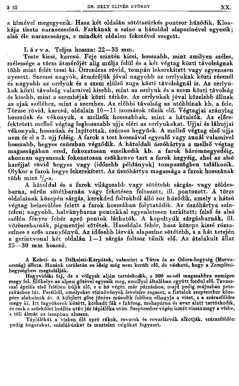 3 32 DR. DELY OLIVÉR GYÖRGY XX. a hímével megegyezik. H asa k ét oldalán sötétszürkés pontsor húzódik. Kloak ája tiszta narancsszínű.