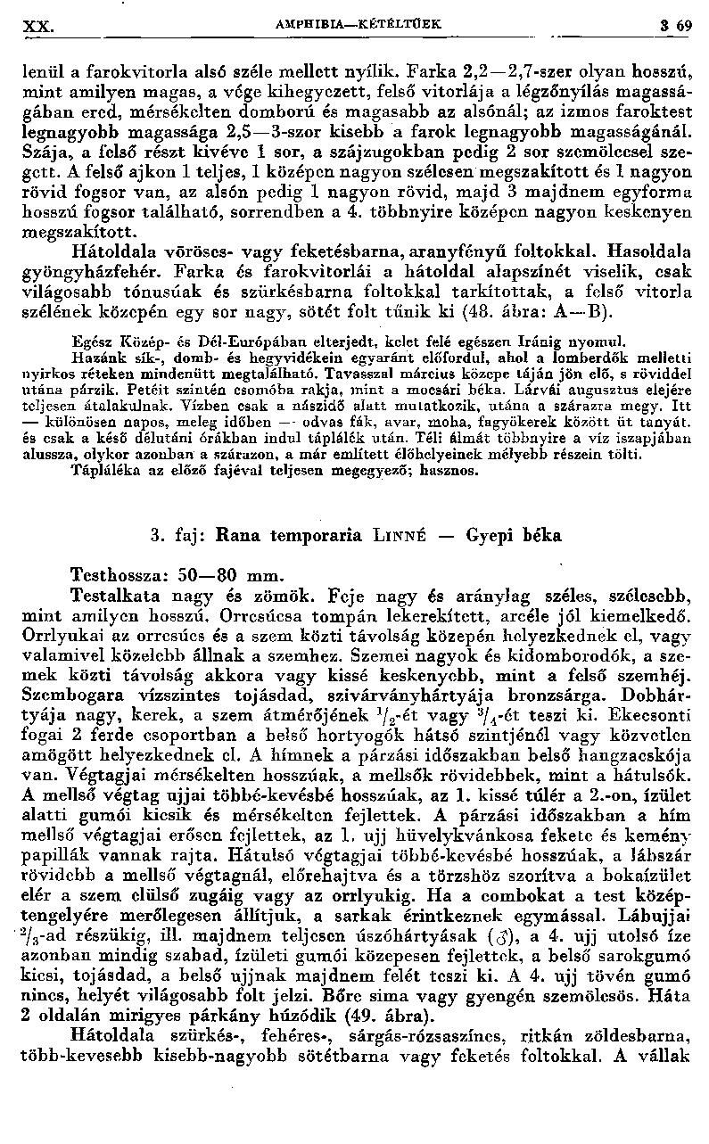 XX. A U PH IB IA -K ÉTÉLTO E K $ 6 9 lenül a farok vitorla alsó széle m ellett nyílik.